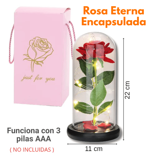 ROSA ETERNA ENCAPSULADA