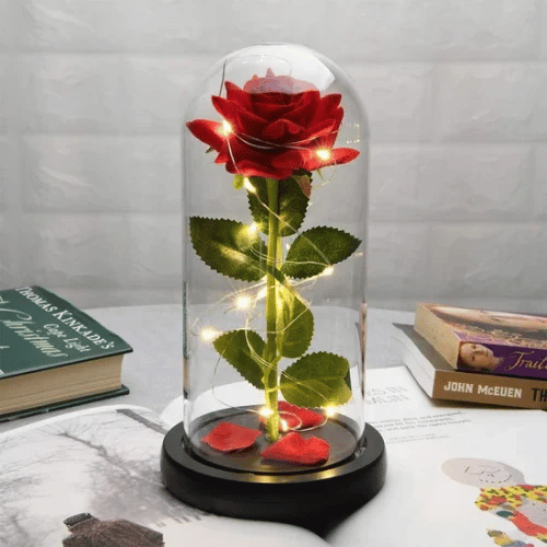 ROSA ETERNA ENCAPSULADA