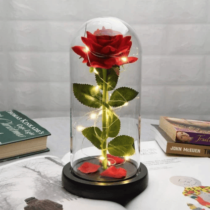 ROSA ETERNA ENCAPSULADA