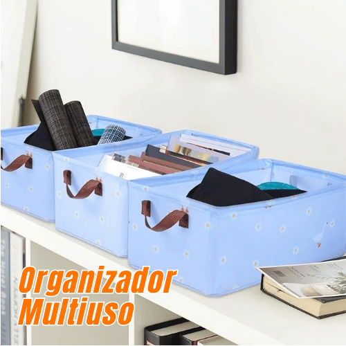 ORGANIZADOR DE ROPA PLEGABLE CON DISEÑO