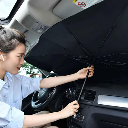 PARAGUA DE AUTO