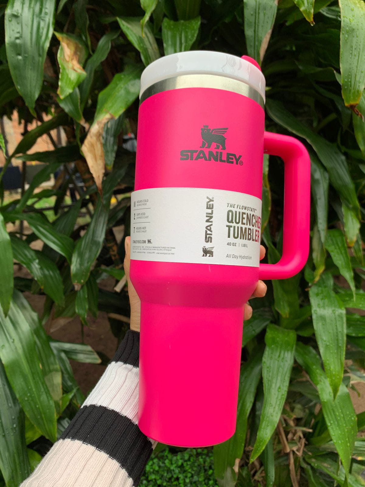 VASOS TERMICOS STANLEY