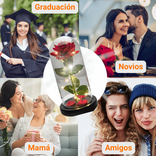 ROSA ETERNA ENCAPSULADA