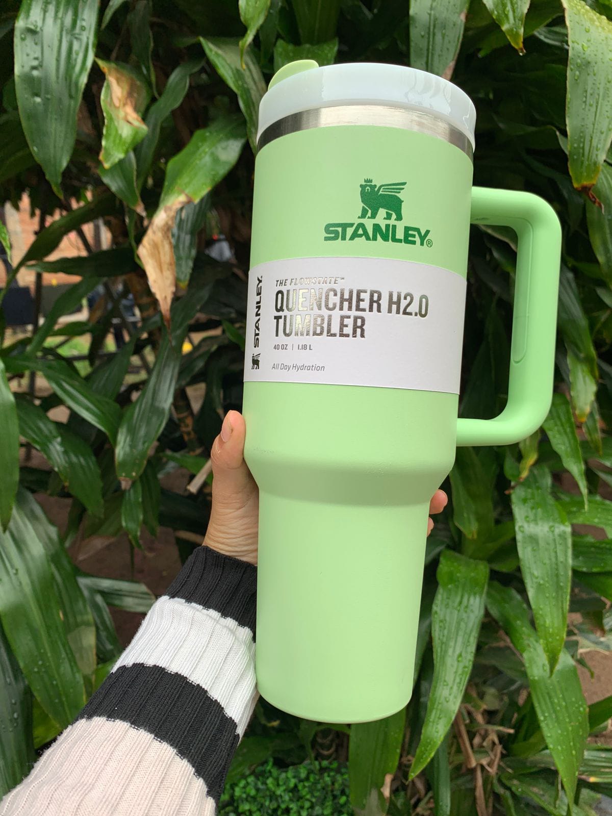 VASOS TERMICOS STANLEY